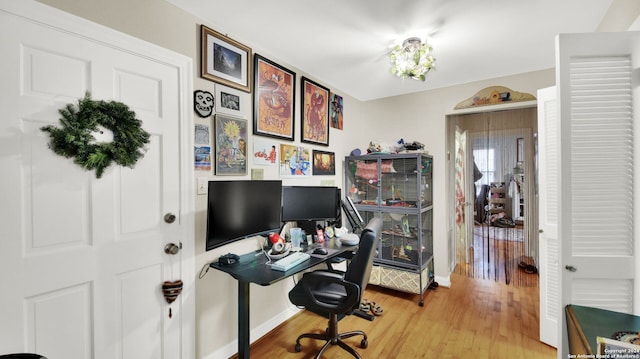 office with hardwood / wood-style floors