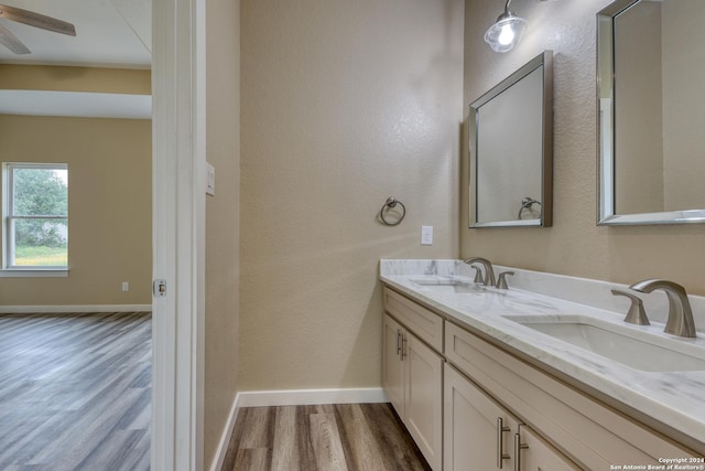 bathroom with hardwood / wood-style floors and vanity