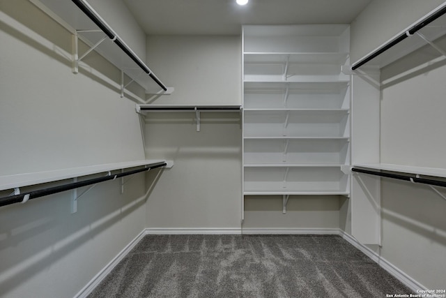 spacious closet with dark carpet