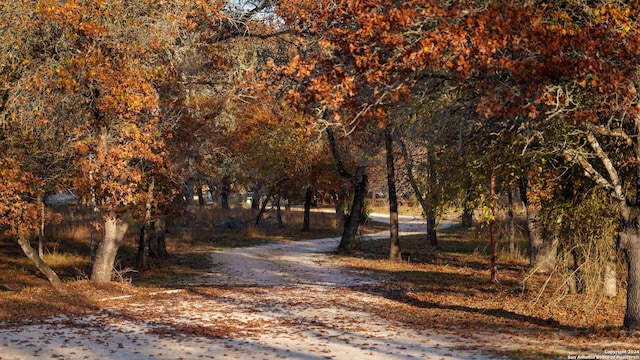 view of street