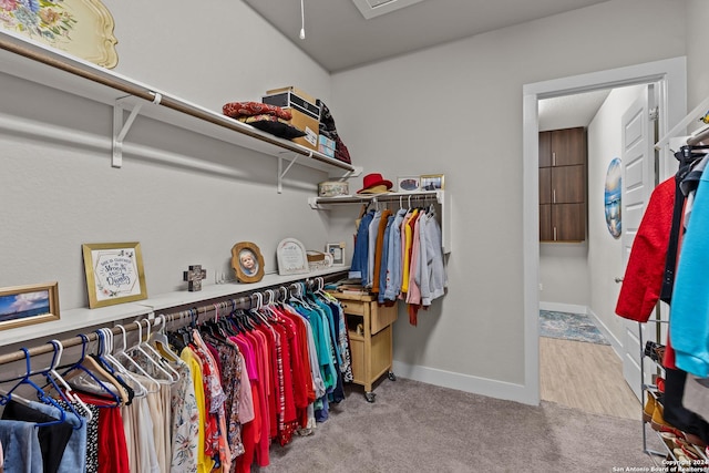 walk in closet with light carpet