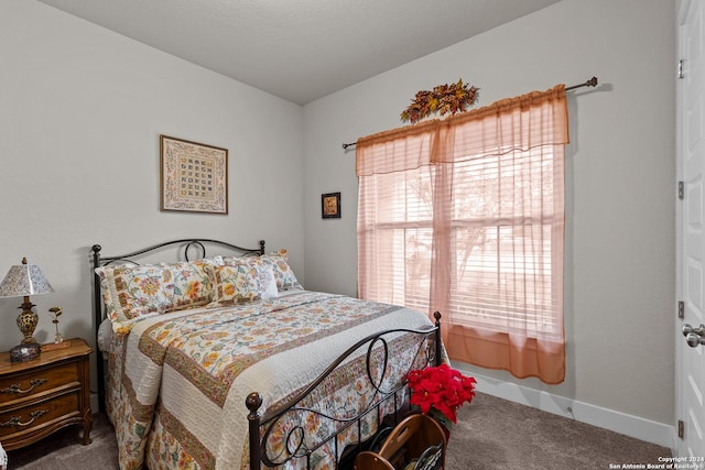 bedroom featuring carpet