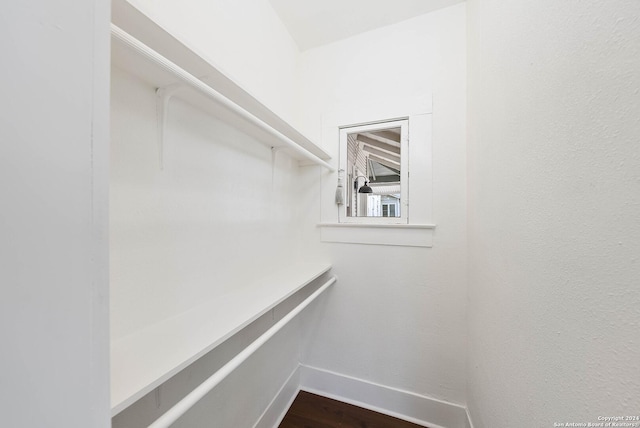 spacious closet featuring dark hardwood / wood-style floors