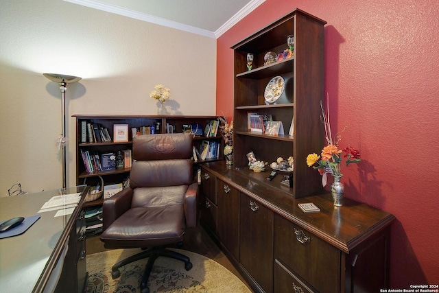 office featuring crown molding and carpet floors