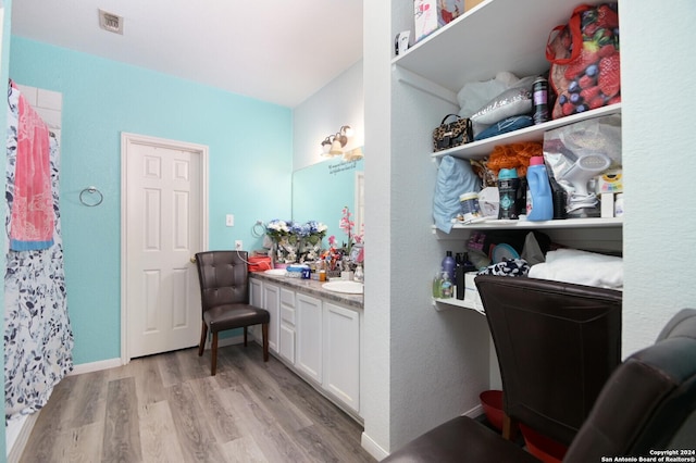 bathroom with wood-type flooring and vanity