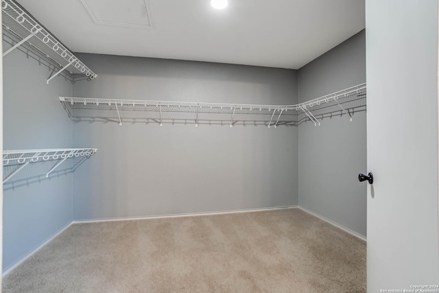 spacious closet with carpet flooring