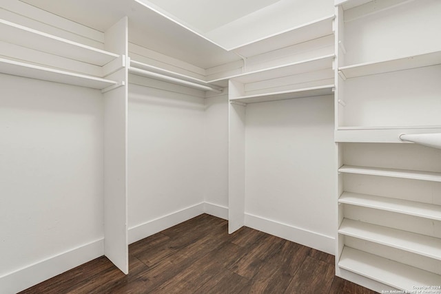 spacious closet with dark wood-type flooring