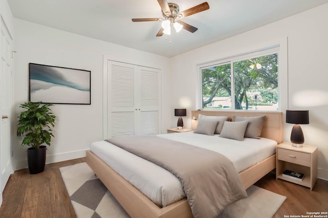 bedroom featuring ceiling fan, dark hardwood / wood-style flooring, and a closet