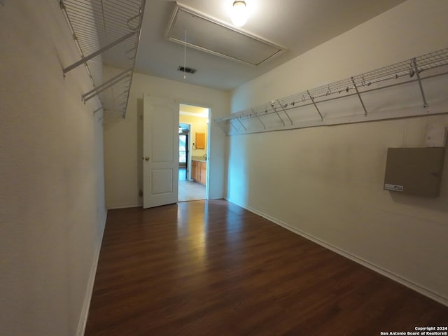 spacious closet with dark wood-type flooring