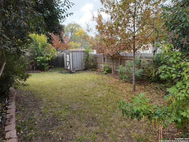 view of yard featuring a shed