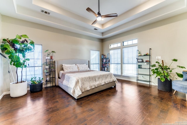 bedroom featuring a tray ceiling, multiple windows, dark wood-type flooring, and ceiling fan