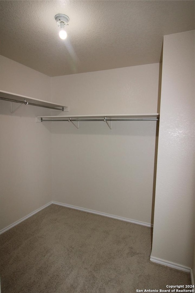 walk in closet featuring carpet