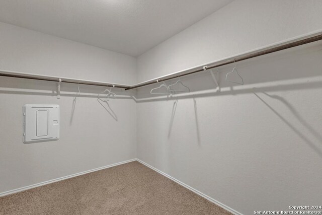 walk in closet featuring electric panel and carpet