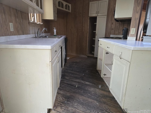 kitchen with wood walls, sink, and dark wood-type flooring