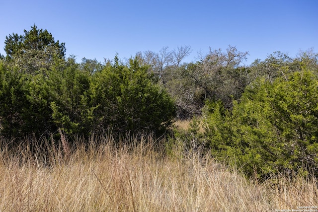 Listing photo 3 for BLOCK3 Lot1, Easy Money, Boerne TX 78006