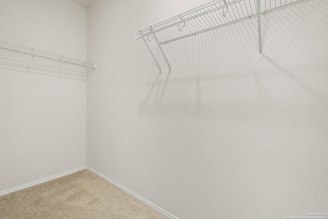 walk in closet with carpet