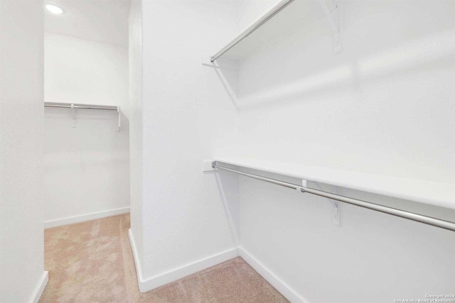 spacious closet featuring light carpet