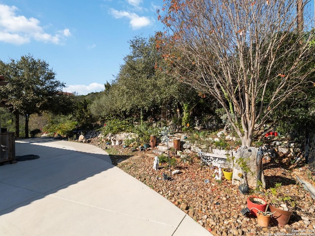 view of yard with a patio area