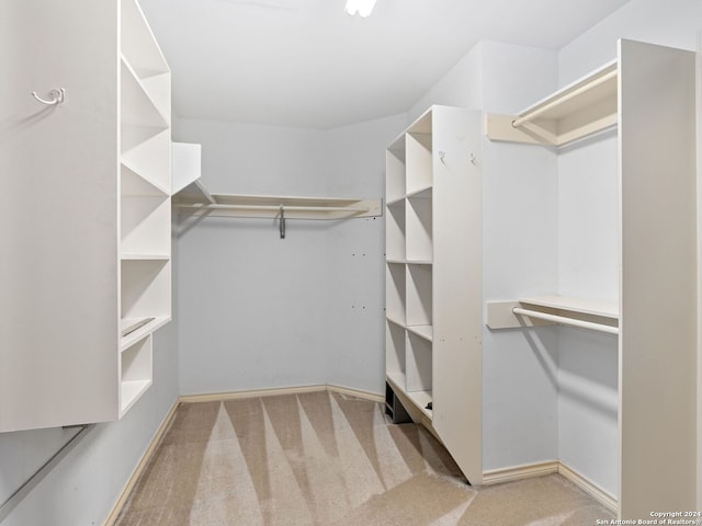 spacious closet featuring light carpet