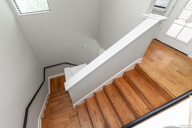 stairway featuring wood-type flooring