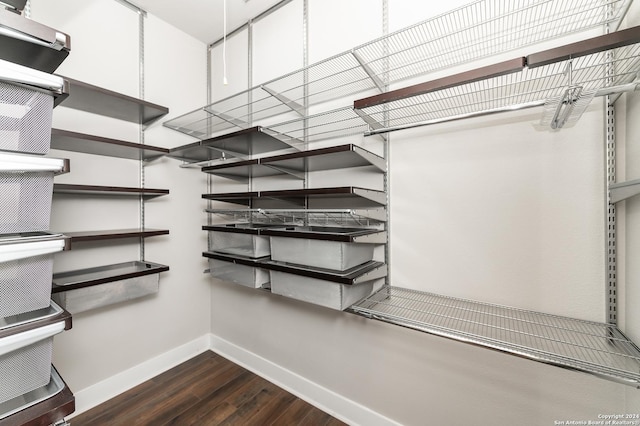 spacious closet featuring dark hardwood / wood-style floors