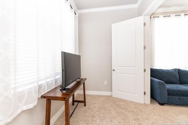 carpeted home office featuring ornamental molding