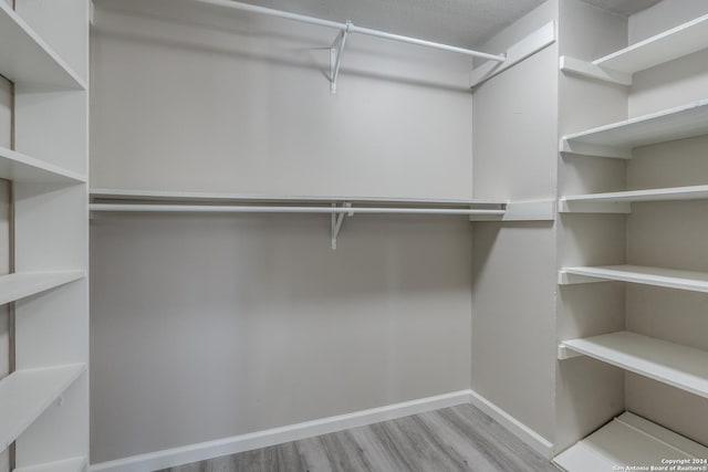 walk in closet with light wood-type flooring