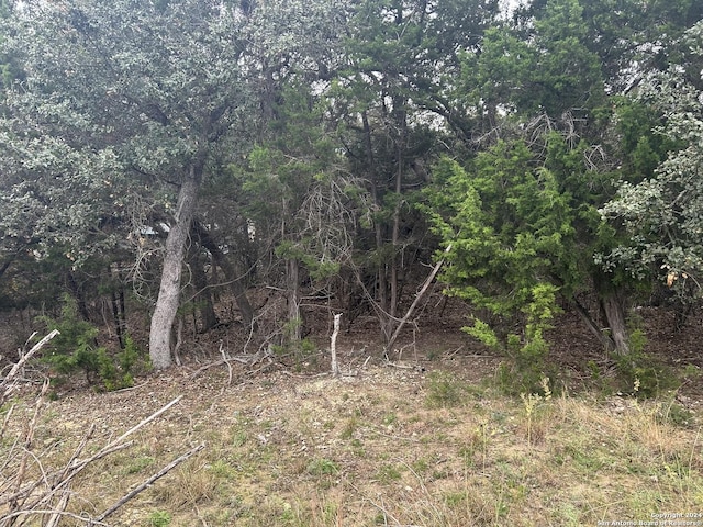 Listing photo 2 for LOT11 Tejas, Bandera TX 78003