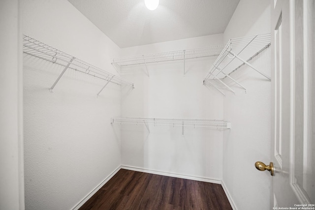 spacious closet featuring dark wood-type flooring