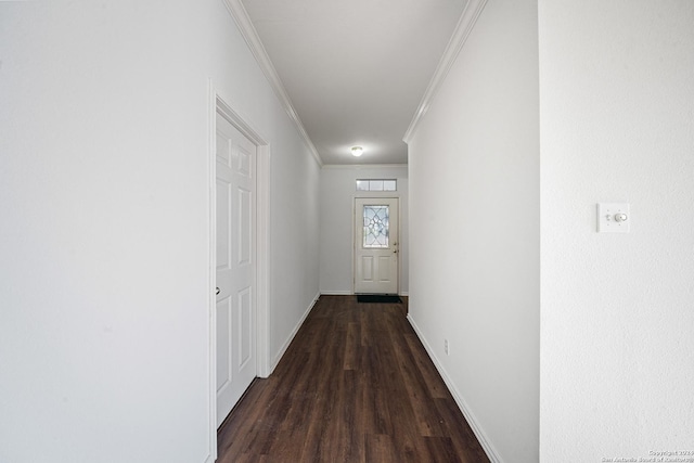 hall featuring crown molding and dark wood-type flooring