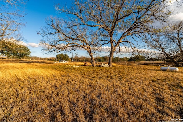 view of yard featuring a rural view