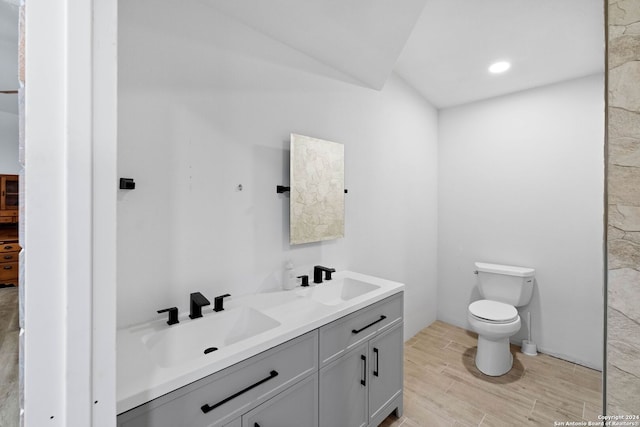 bathroom with vanity, toilet, and wood-type flooring