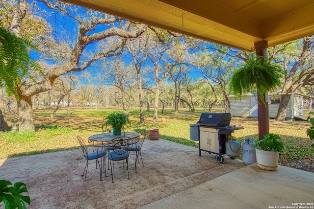 view of patio with a storage shed