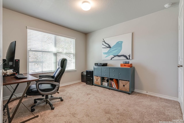 home office with light colored carpet