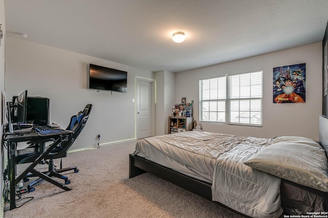 bedroom with carpet flooring