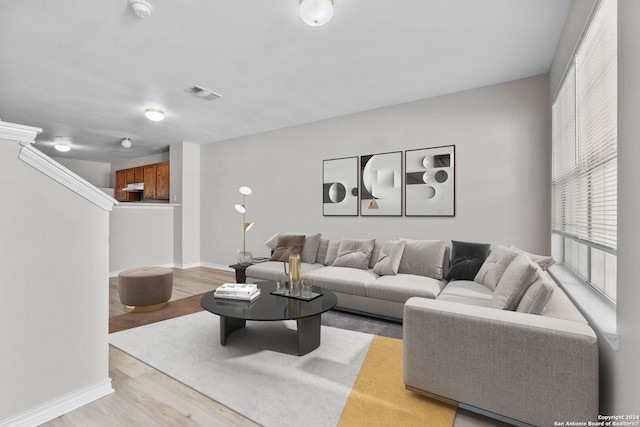 living room with light hardwood / wood-style flooring