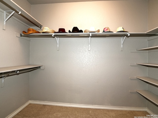 walk in closet featuring carpet