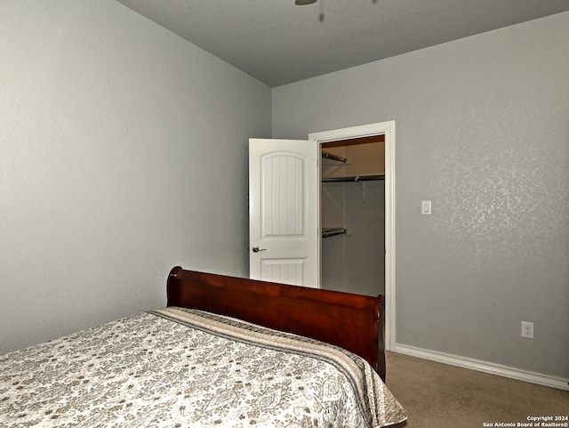 bedroom with a walk in closet, a closet, and carpet