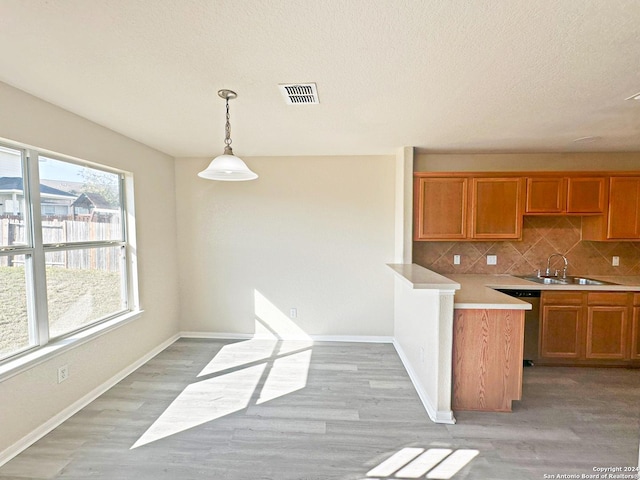 kitchen featuring dishwasher, pendant lighting, and light hardwood / wood-style floors