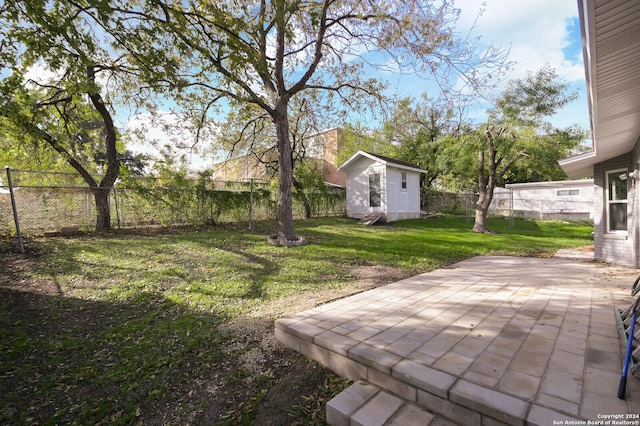 view of yard with a patio area and a storage unit