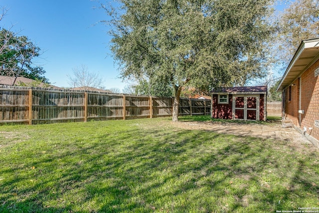 view of yard featuring a shed