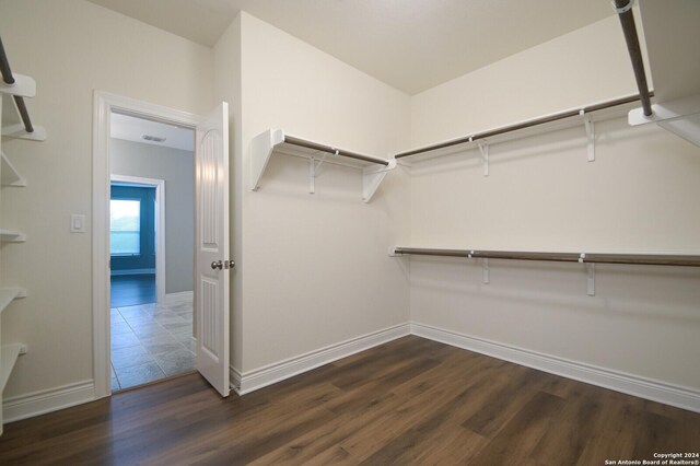 spacious closet featuring dark wood-type flooring