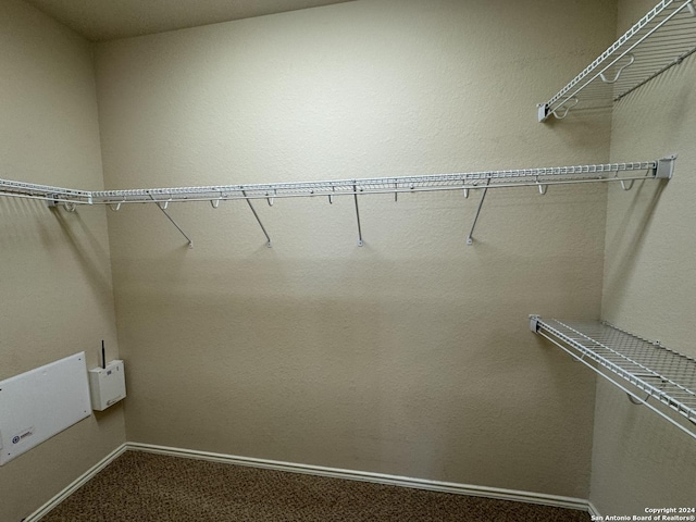 walk in closet with carpet floors