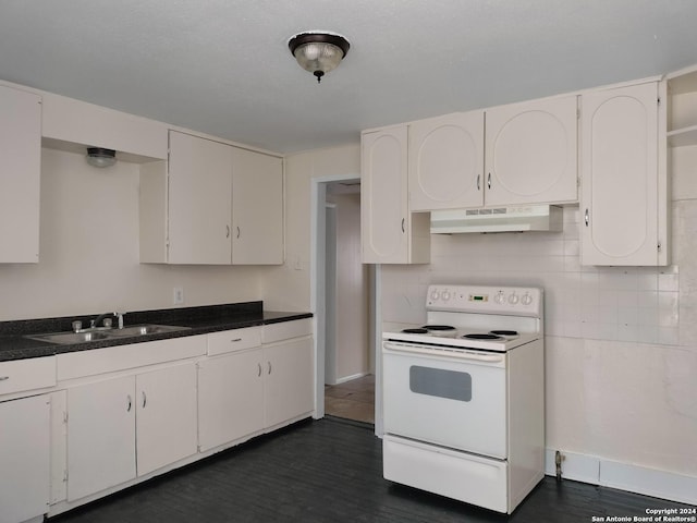 kitchen featuring white range with electric stovetop, white cabinetry, sink, and range hood