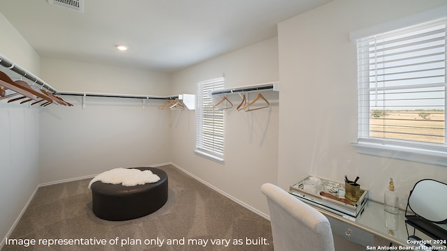 spacious closet featuring carpet flooring