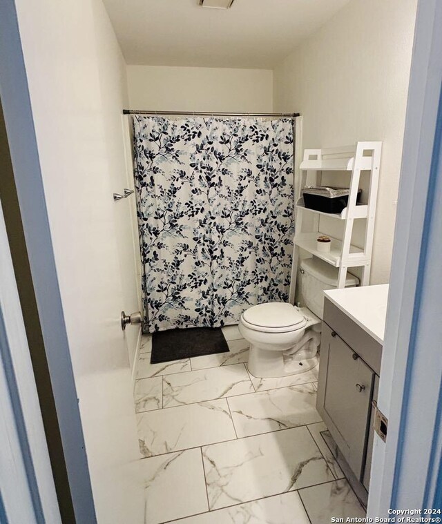 bathroom with vanity, a shower with shower curtain, and toilet