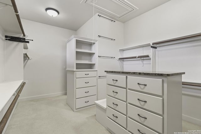 spacious closet featuring light colored carpet