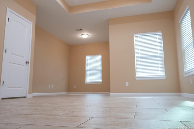 spare room featuring a tray ceiling and a wealth of natural light