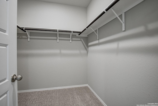 walk in closet featuring carpet floors