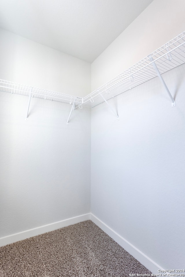 walk in closet with carpet floors